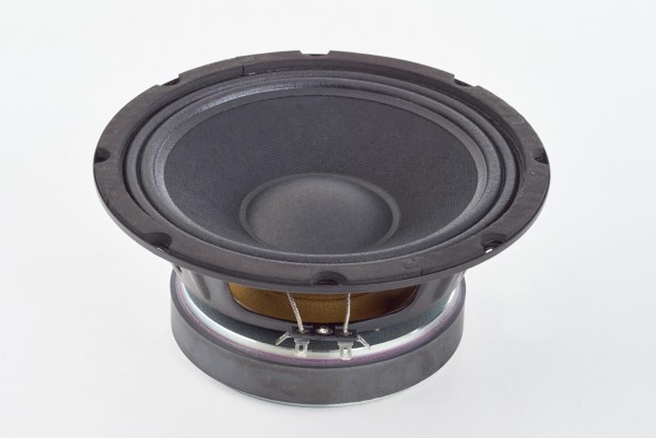 Warwick Amplification Parts - 8" Speaker / 100 W / 8 Ohm - for WCA 208-4 and WCA 408-8